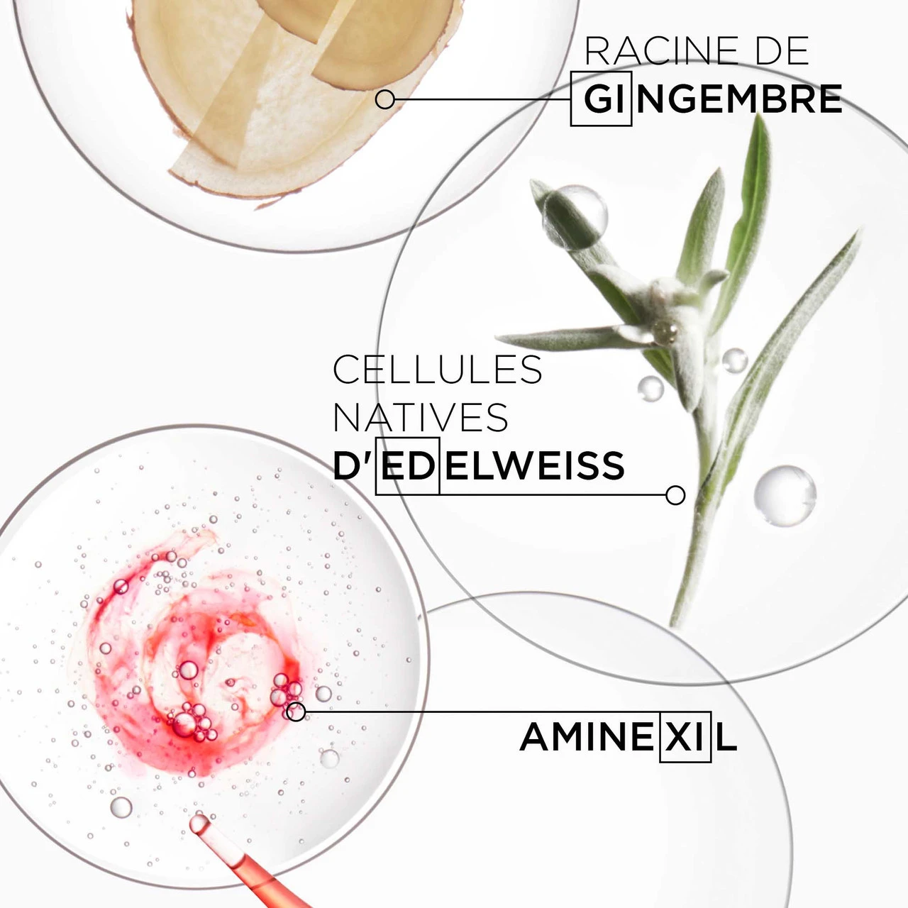 Fluide Défense Thermique Genesis Kérastase 150ml 5 Fluide Défense Thermique Genesis Kérastase 150ml – Image 5