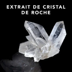 Trilliance Shampoo Sebastian 250ml 6 Trilliance Shampoo Sebastian 250ml -Soins Personnels Boutique 51122 3 76641.1688998406