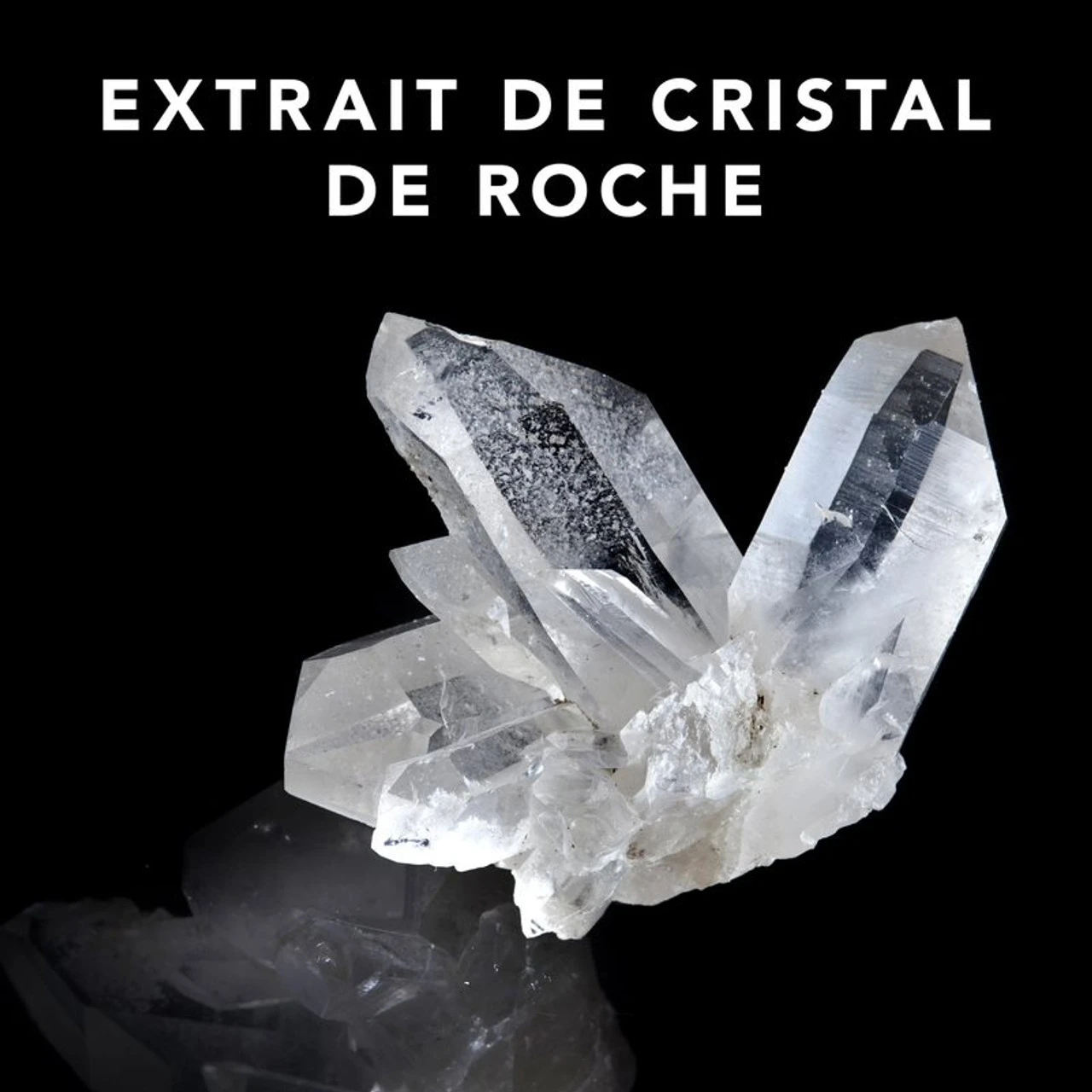 Trilliance Shampoo Sebastian 250ml 3 Trilliance Shampoo Sebastian 250ml – Image 3